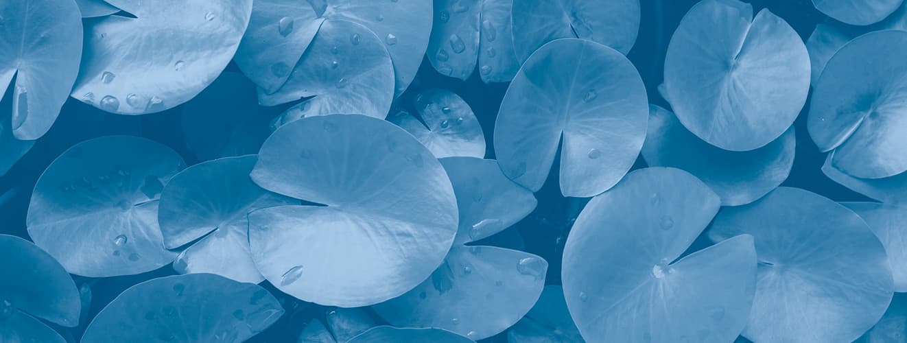 Abstrakte blaue Blattstruktur mit Wassertropfen als ruhiger, moderner Hintergrund.
