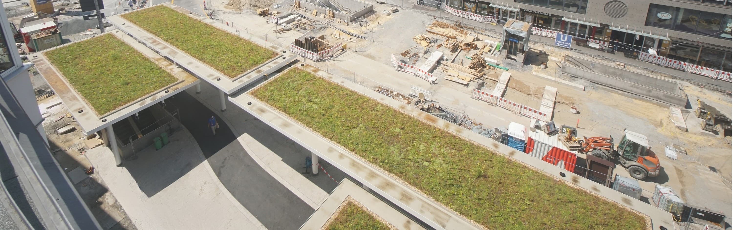 Gründach auf der neugebauten Überdachung am Jahnplatz in Bielefeld