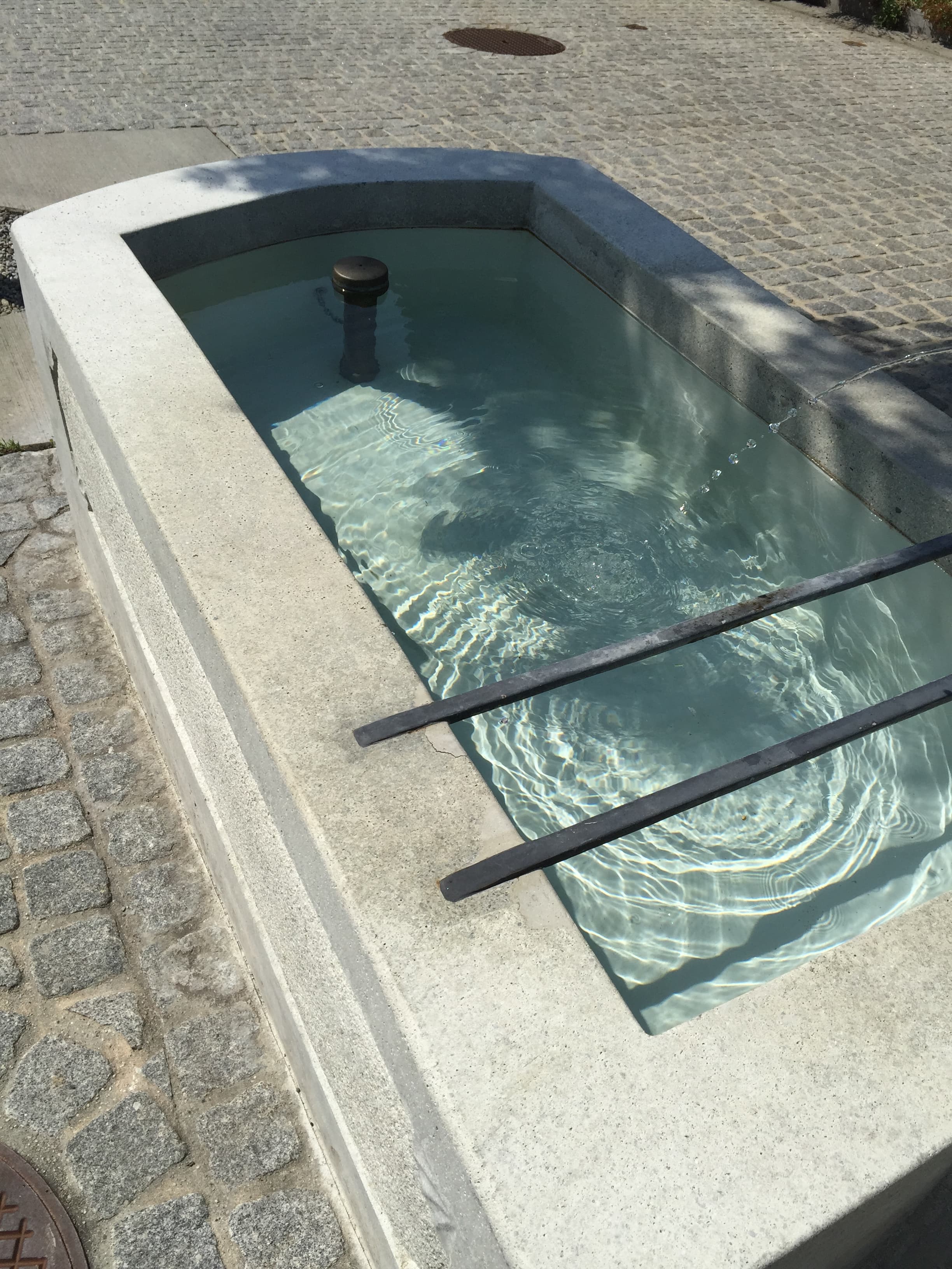 Brunnensanierung in der Begegnungszone