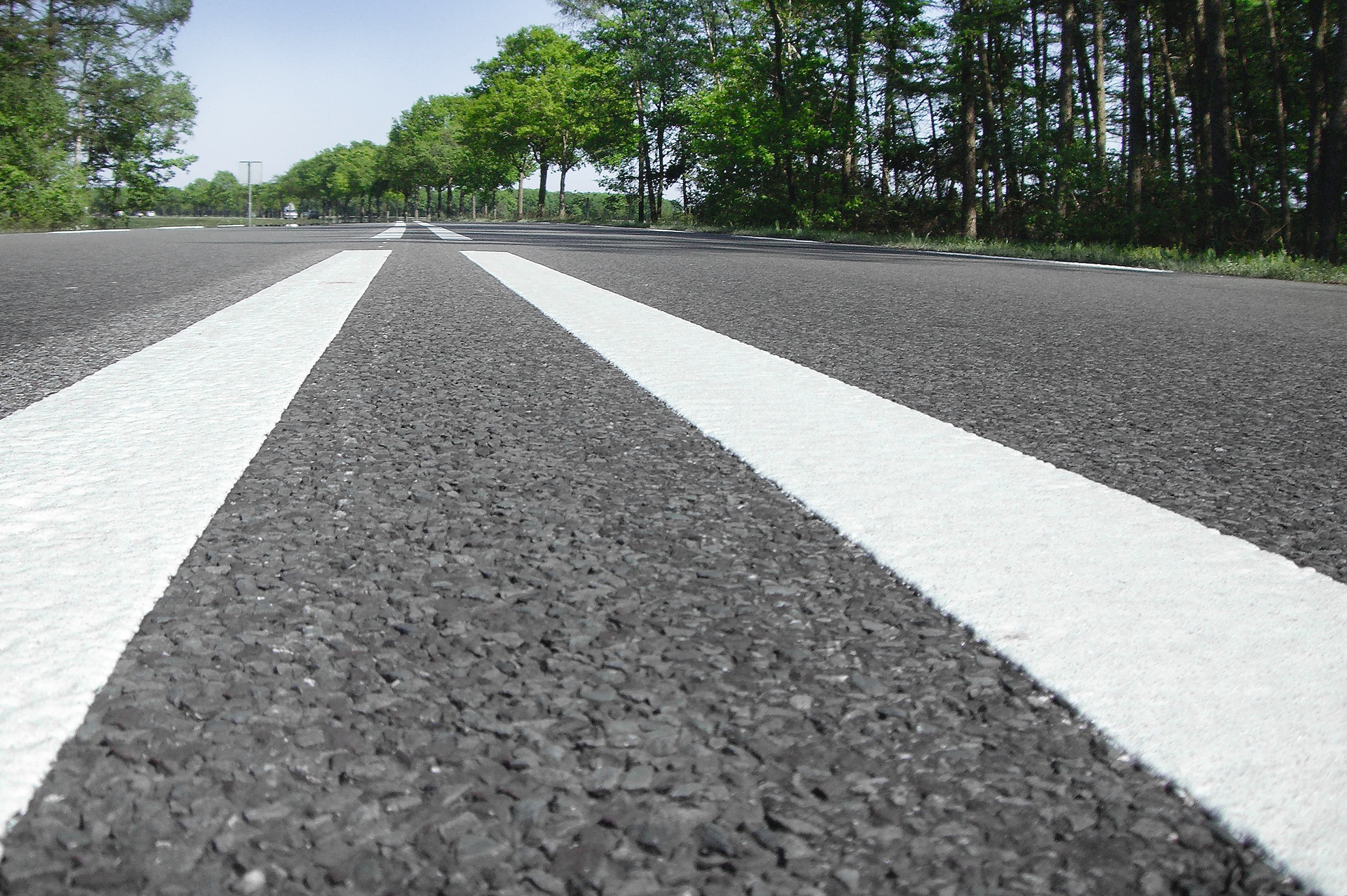 Nahaufnahme frisch aufgebrachter weißer Straßenmarkierungen auf Asphaltfahrbahn in grüner Umgebung.