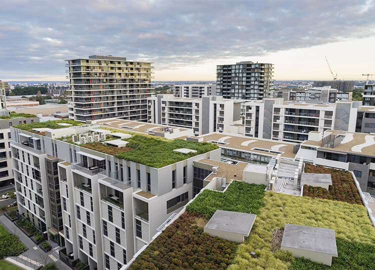 Multi-story buildings with extensively greened flat roofs as part of modern urban development