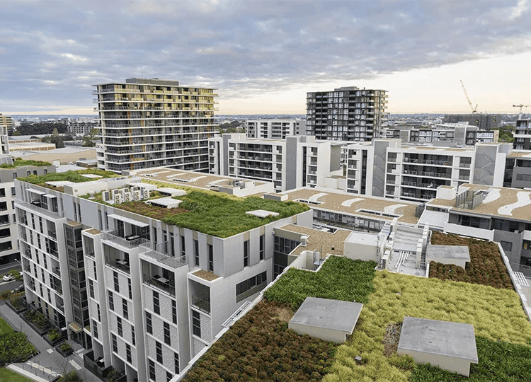 Mehrgeschossige Gebäude mit extensiv begrünten Flachdächern als Teil moderner Stadtentwicklung