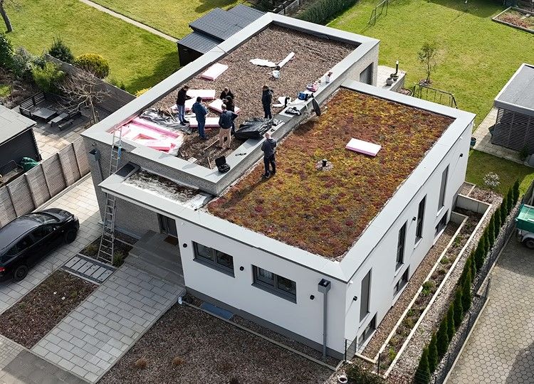 Gründach Einfamilienhaus Minden