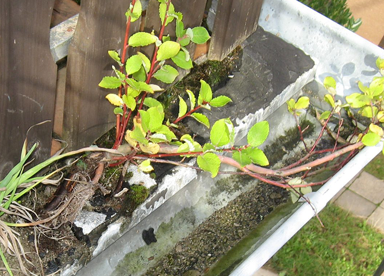 Gouttière balcon