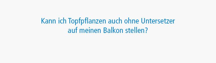 FAQ_7- 750x220