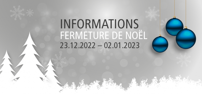 Triflex France Noel 2022
